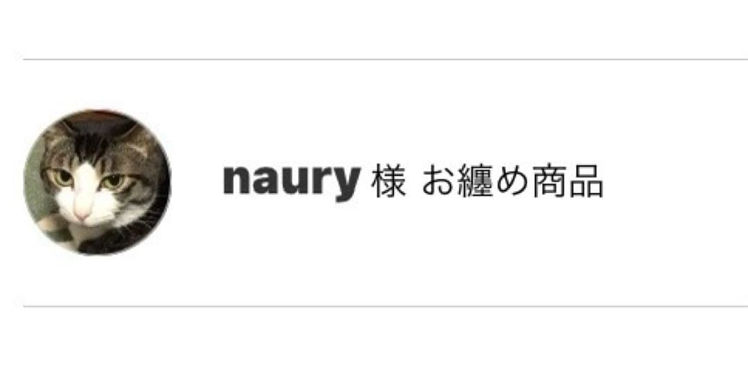 naury様 お纏め商品