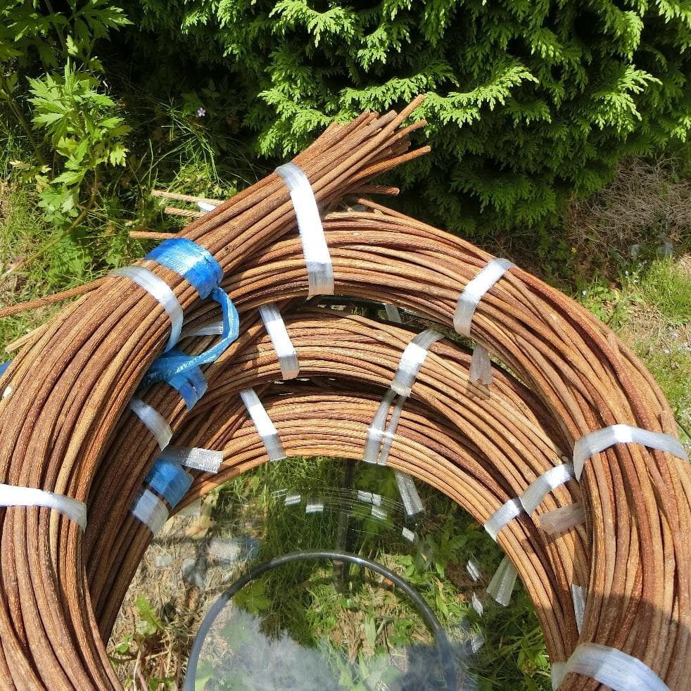 なつ（╹◡╹）♡ 青森県岩木山採取　あけび蔓　150cm～　3kg　太い蔓