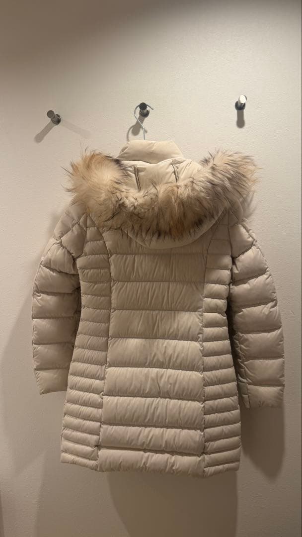 cape horn ダウンジャケット