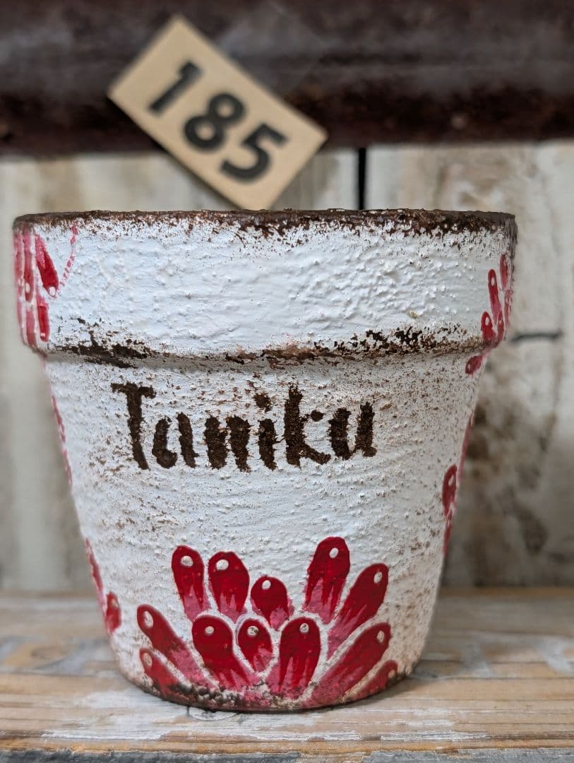 dorukun様♥専用です。185 2.5位の鉢