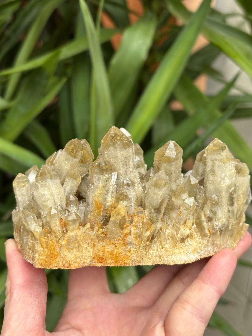 天然シトリン　キャンドルクォーツ　クラスター　618g かわいい　自立します