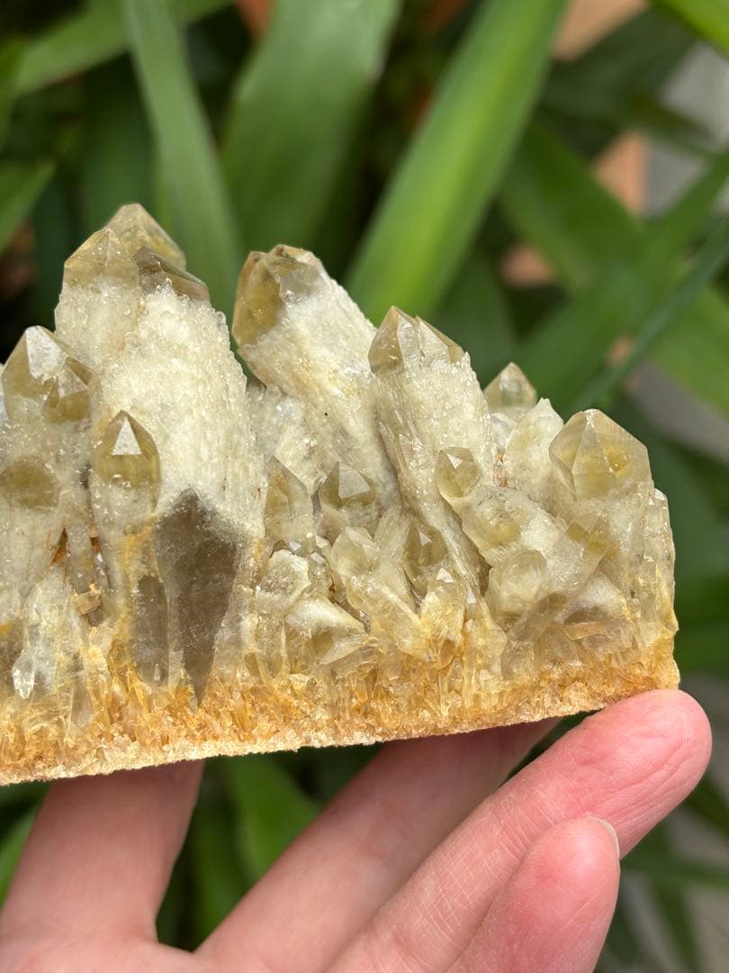 天然シトリン　キャンドルクォーツ　クラスター　618g かわいい　自立します