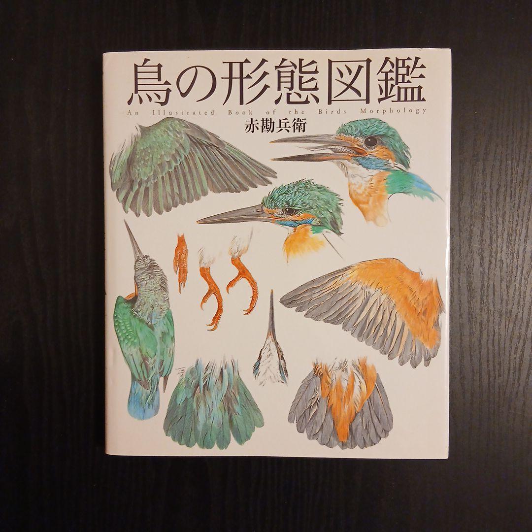 鳥の形態図鑑