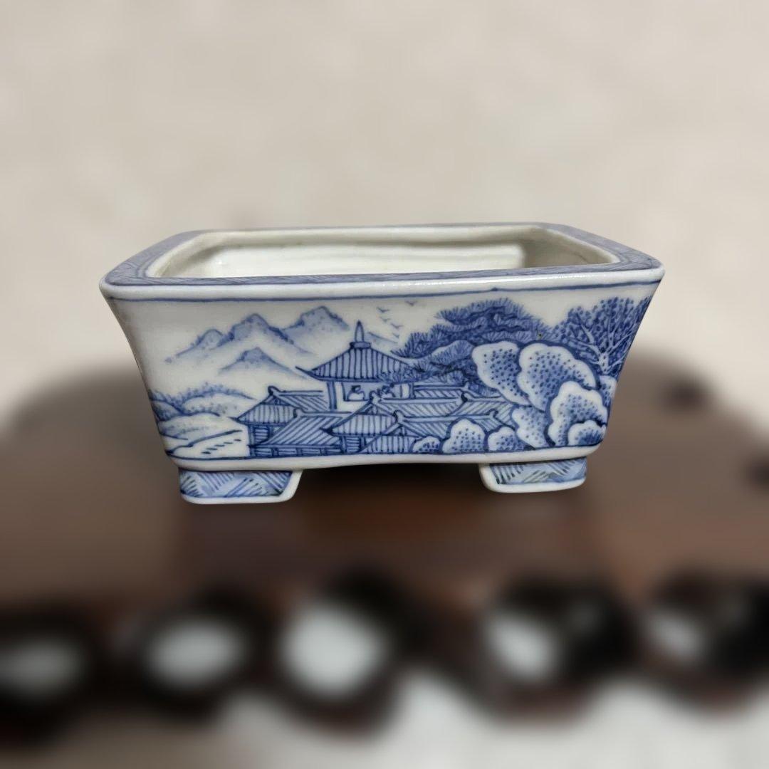 盆栽鉢　　月香