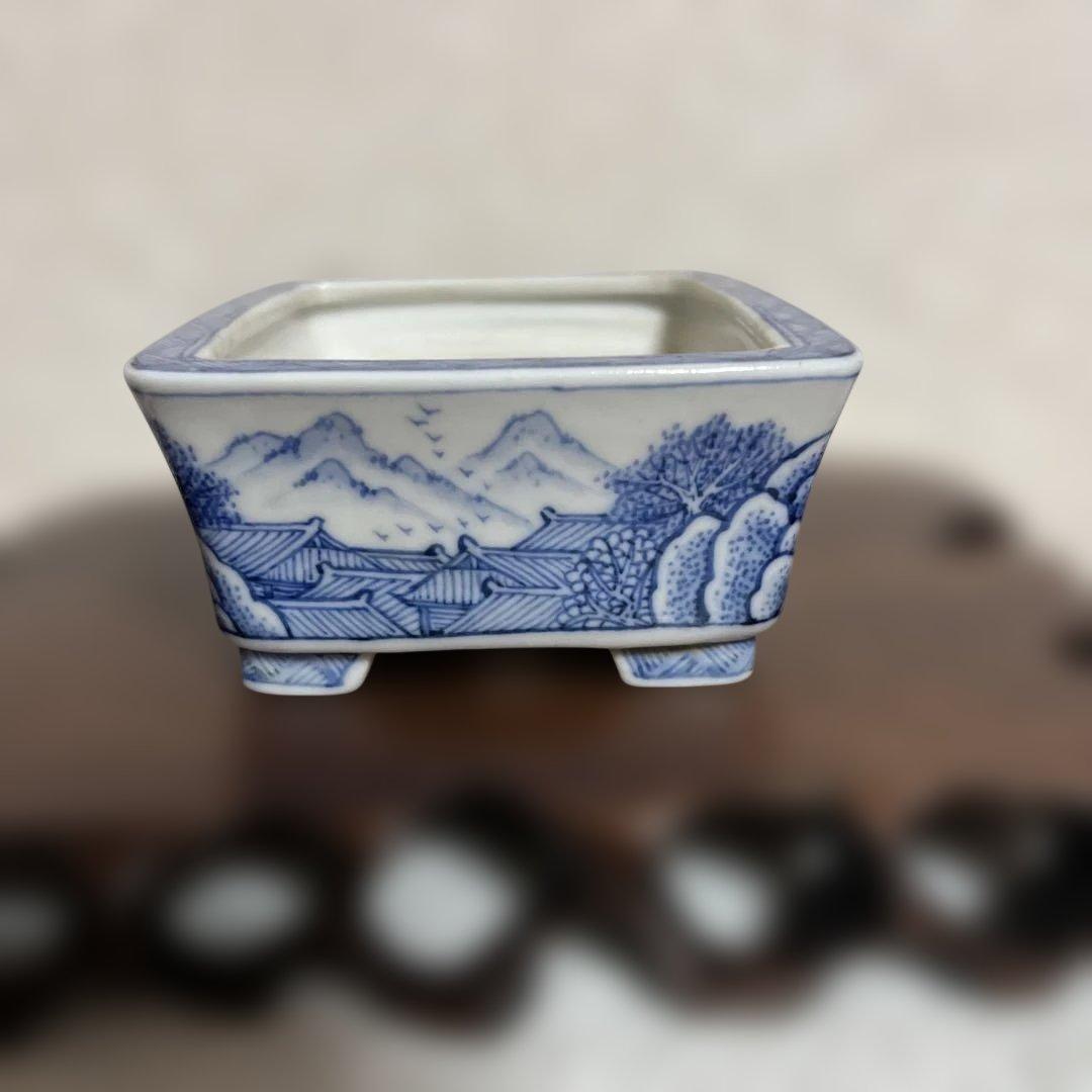 盆栽鉢　　月香