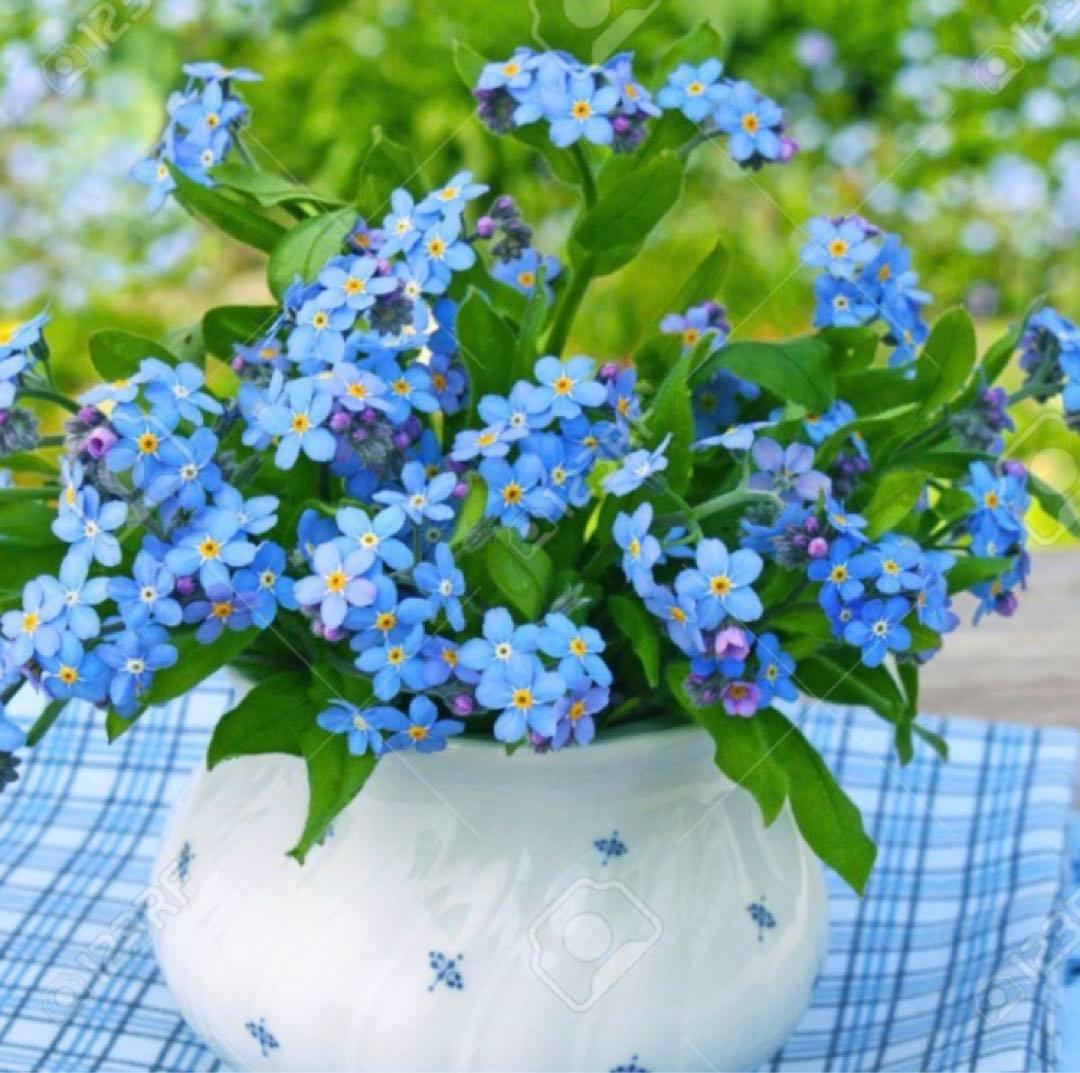 《ヴィンテージ》 ジイガントフタ　スウェーデン 北欧【勿忘草　陶板】壁飾り