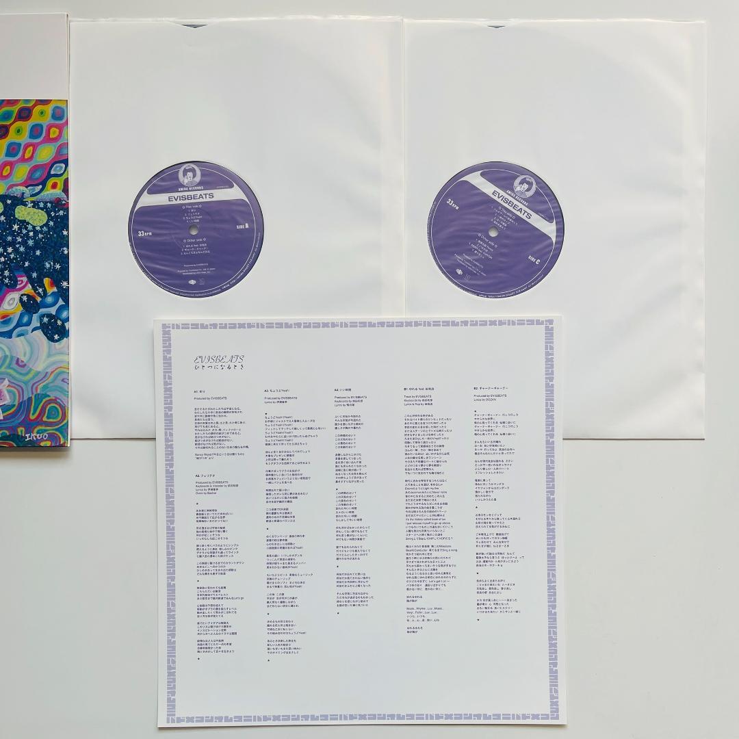 美盤 美品 2LP レコード Evisbeats ひとつになるとき エビスビーツ