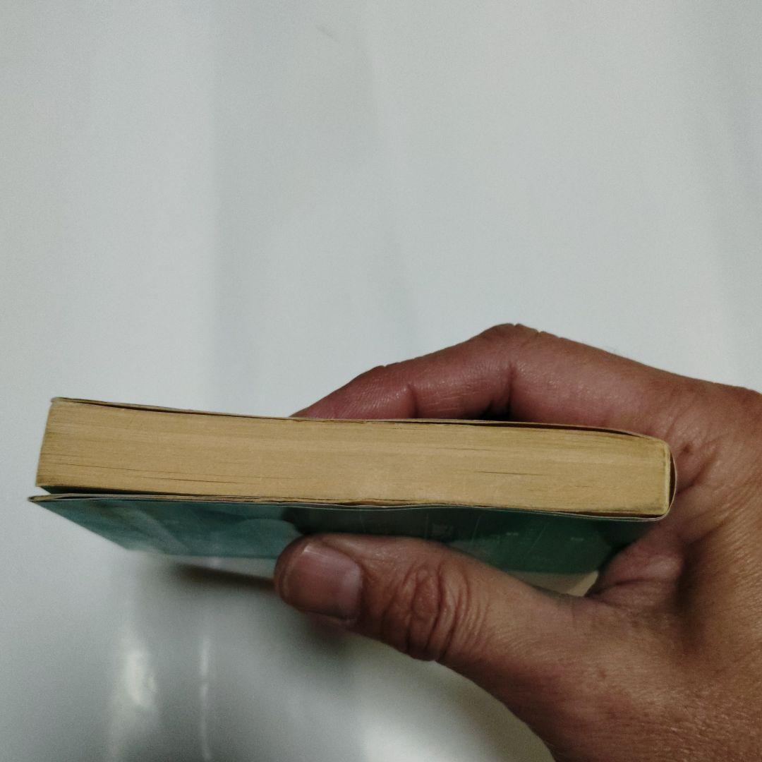 恐怖の幻影　アドベンチャーゲームブック　希少本