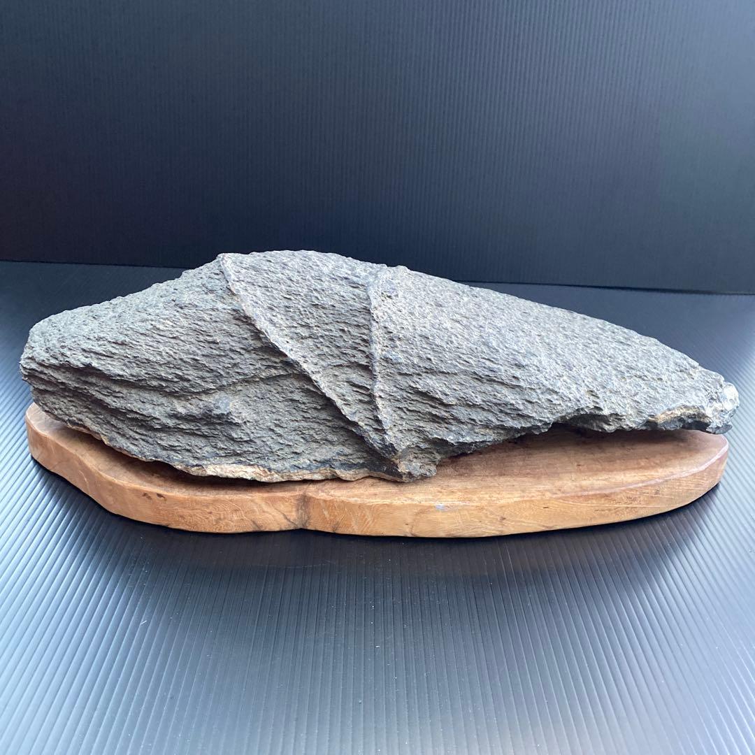 【日本三大銘石佐治石】 古代石 採石禁止石 鯨形 珍品