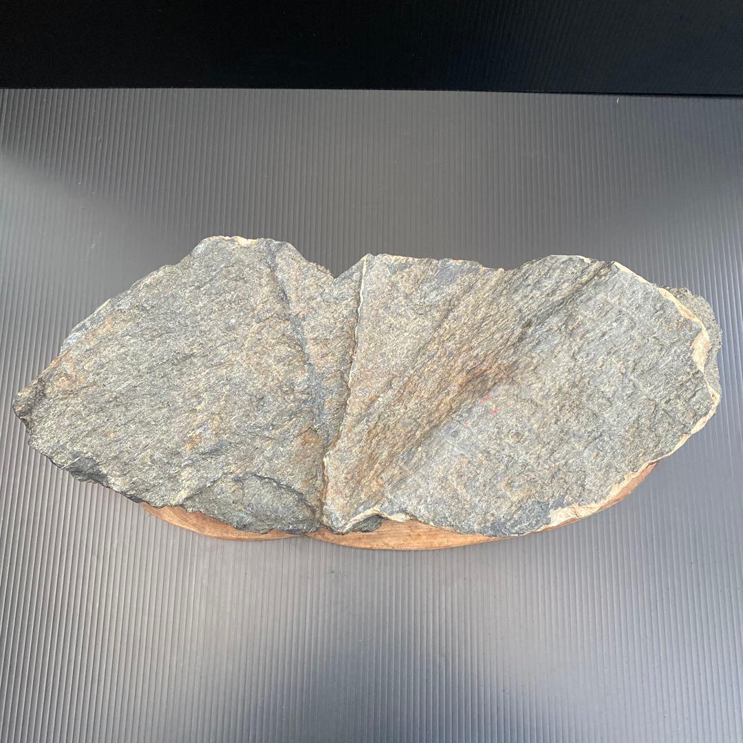 【日本三大銘石佐治石】 古代石 採石禁止石 鯨形 珍品