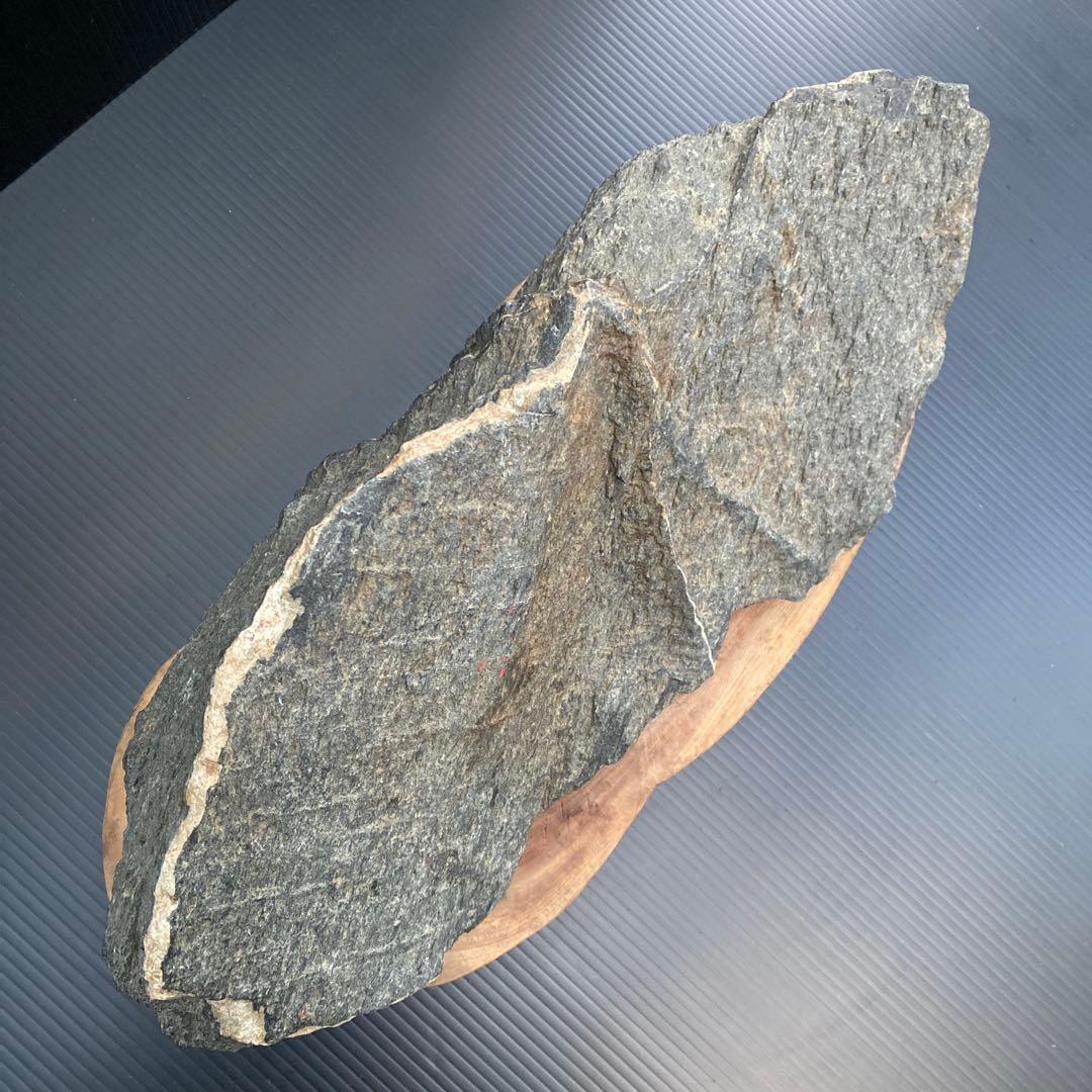 【日本三大銘石佐治石】 古代石 採石禁止石 鯨形 珍品