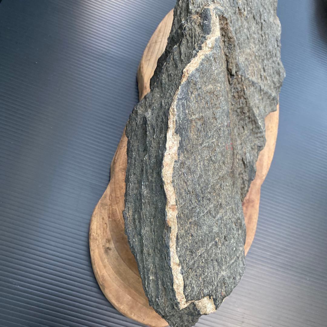 【日本三大銘石佐治石】 古代石 採石禁止石 鯨形 珍品