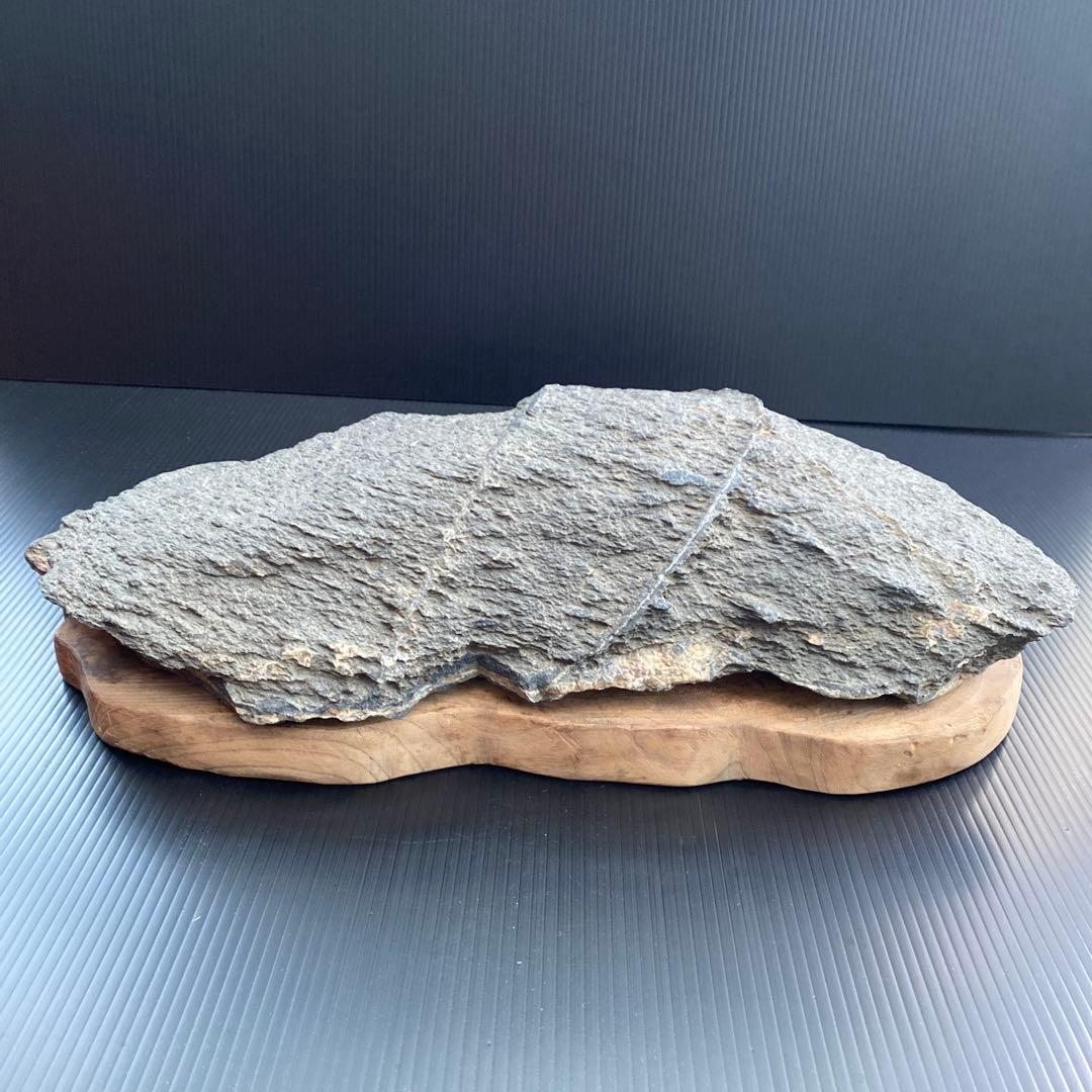 【日本三大銘石佐治石】 古代石 採石禁止石 鯨形 珍品