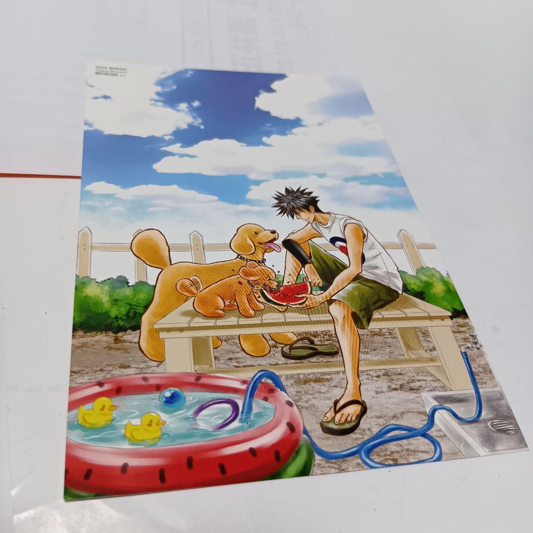 【イラストカード付】DOG SIGNAL 1〜14巻 全巻セット ドッグシグナル