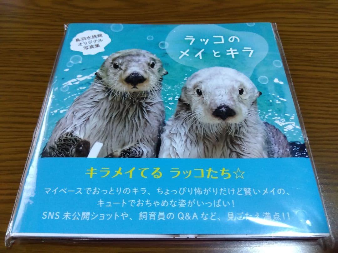 ラッコのメイとキラ　鳥羽水族館オリジナル写真集