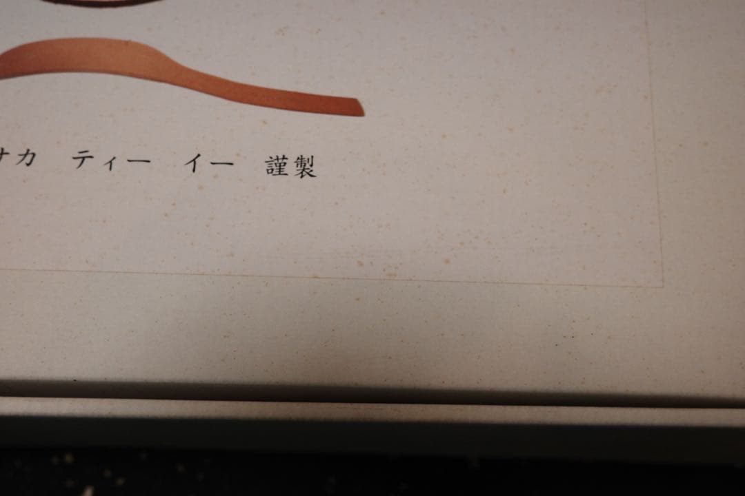 ニコライ堂　トレーニングベルト サイズ中
