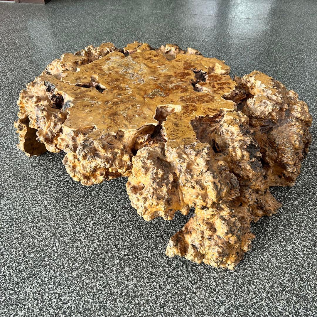 【希少】脚一体もの こぶ 無垢 一枚板 天然木 座卓