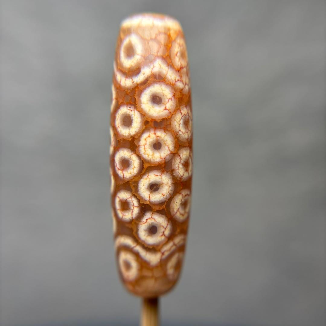 ユッキー至純龍紋36眼血系天珠　1-209