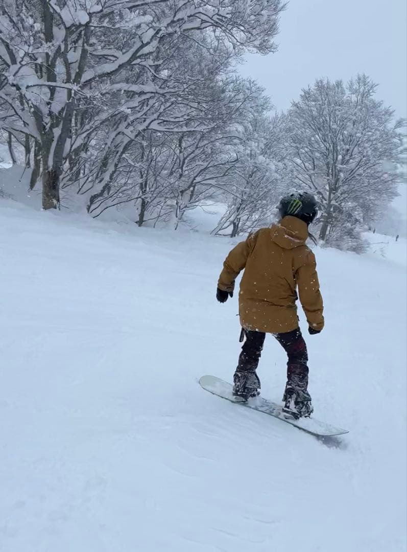 volcom stone GORE-TEX jacket Mサイズ