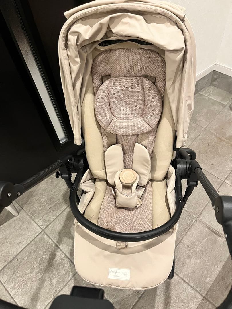 サイベックス　メリオカーボン　2024