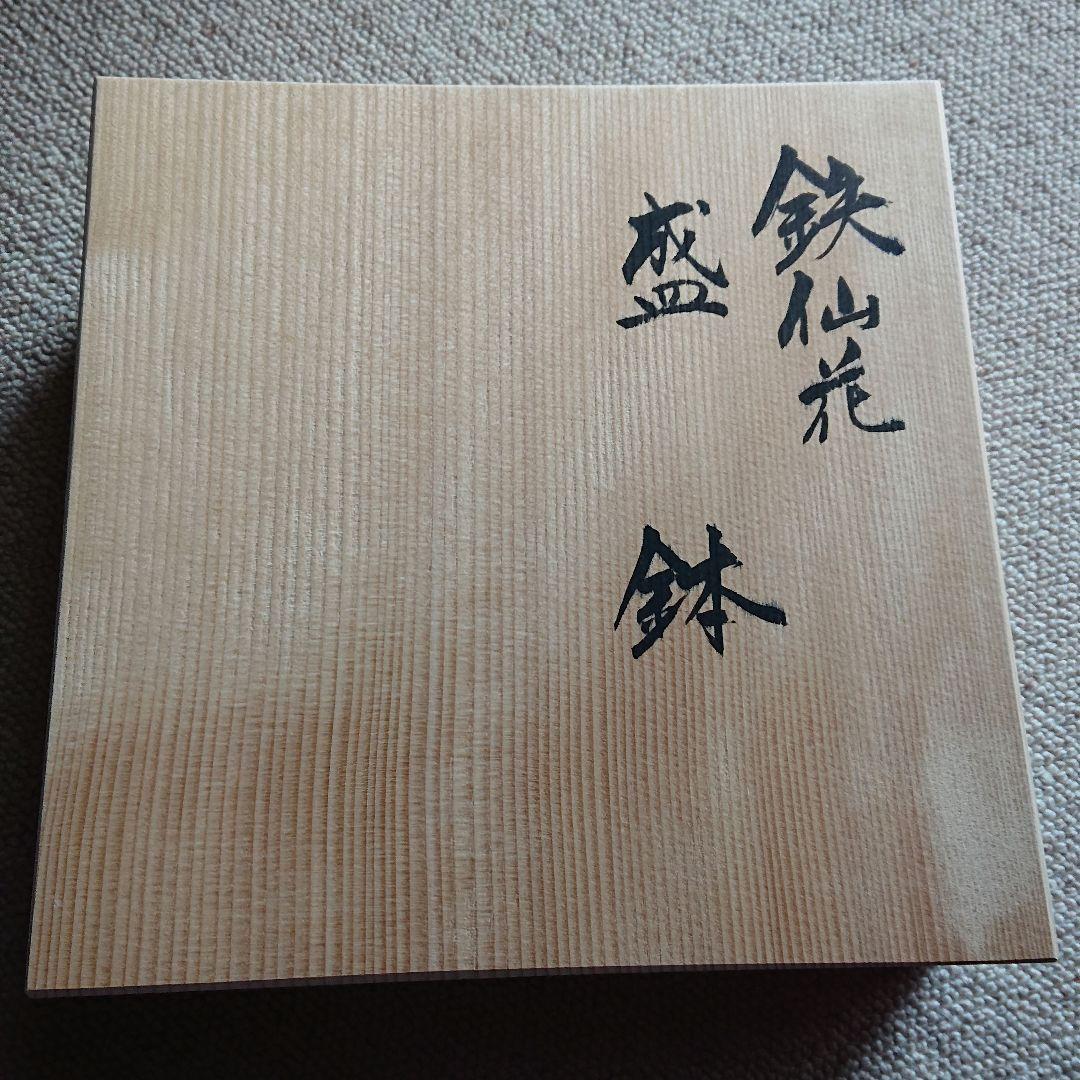 九谷焼 鉄仙花 盛鉢 穂光氏作　共箱入
