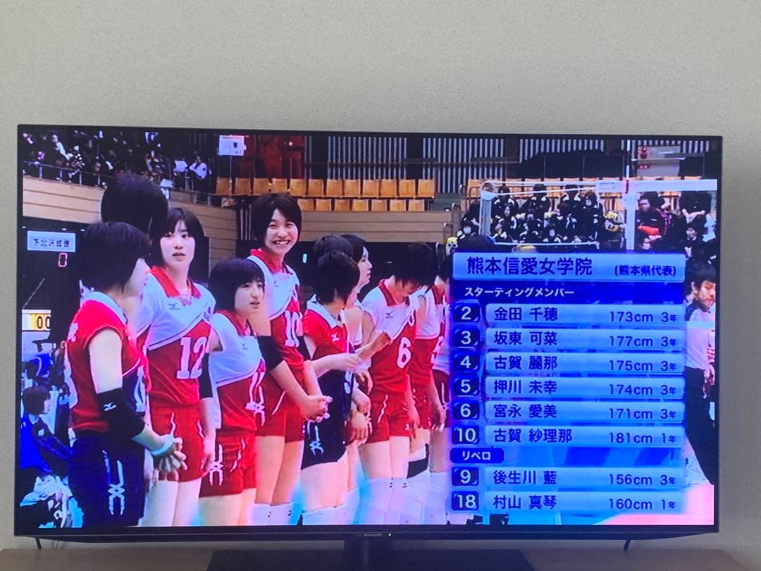 an出品　春高バレーDVDまとめ売り