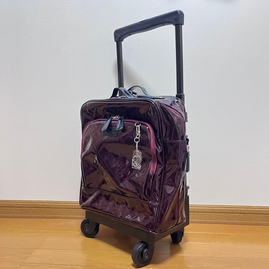 SWANY スワニー エマイロ　ボルドー　キャリー　ショッピング