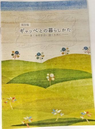 値下げ可能ミニギャベ●32×36㎝●手織●本物●新品未使用 遊牧民が紡ぐギャッベ