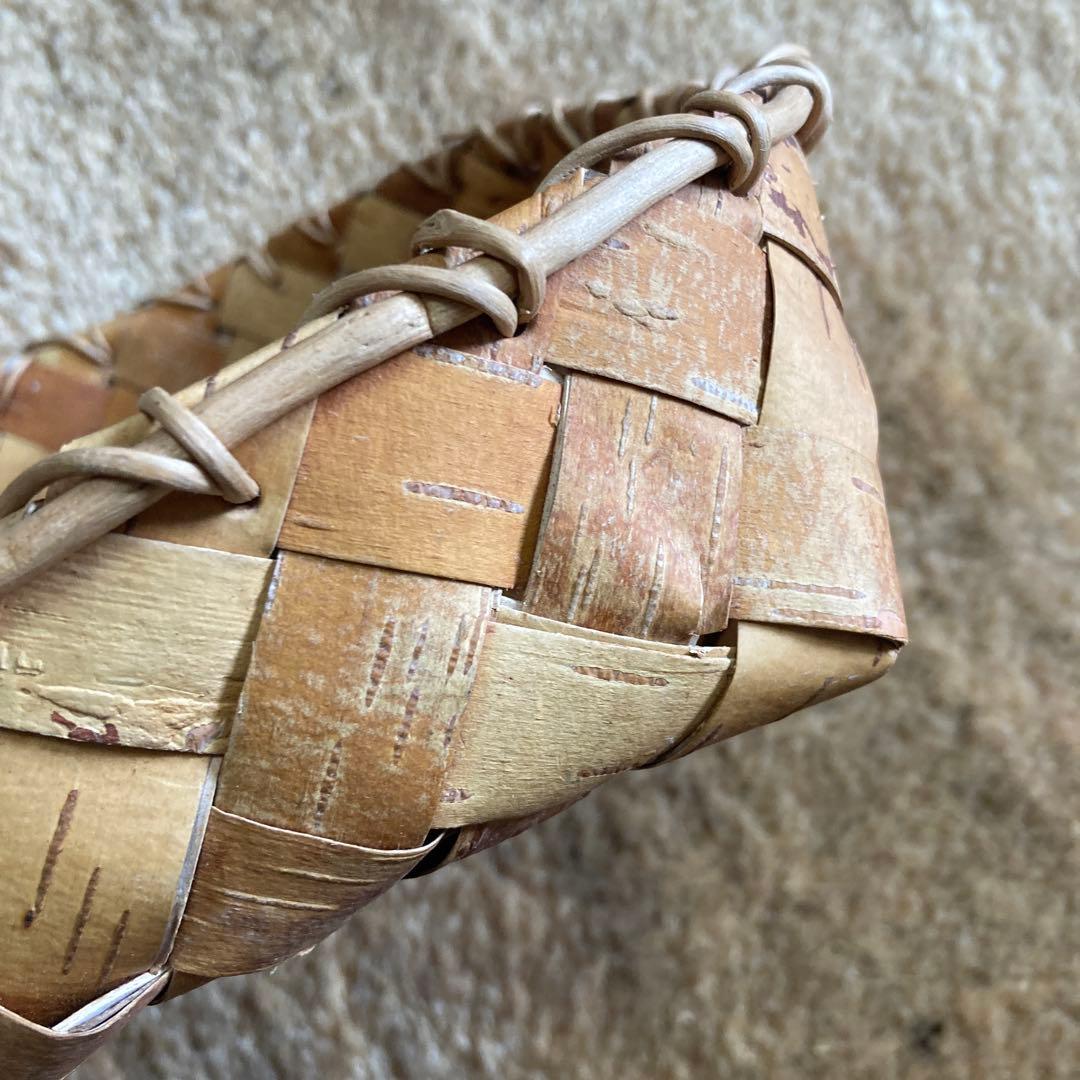 白樺　バスケット　根かがり