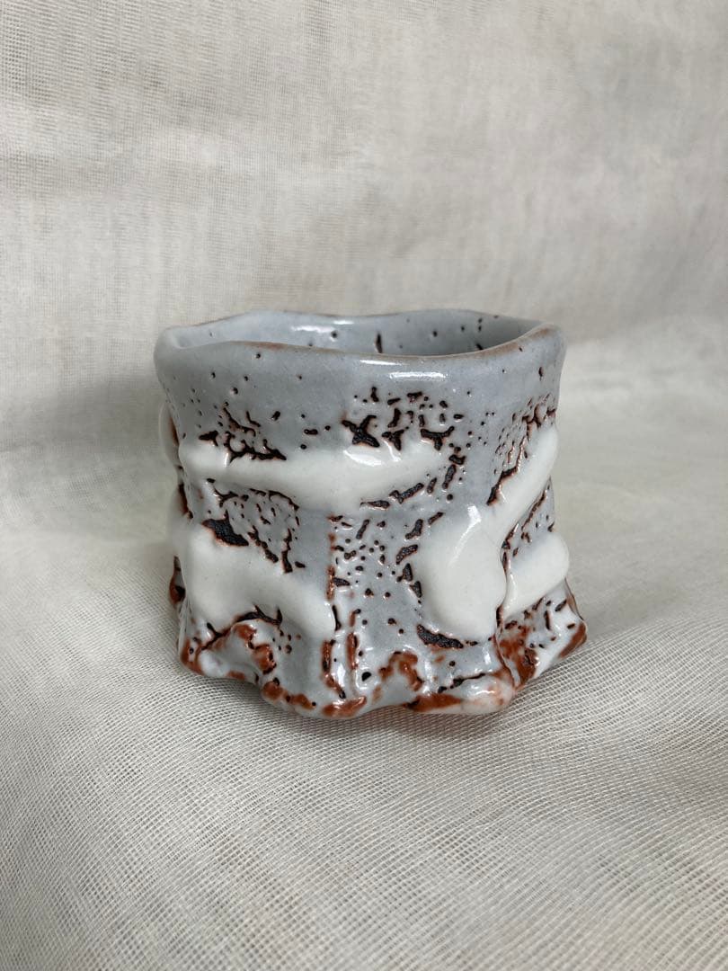 木戸貞昭／鼠志野茶碗／B37