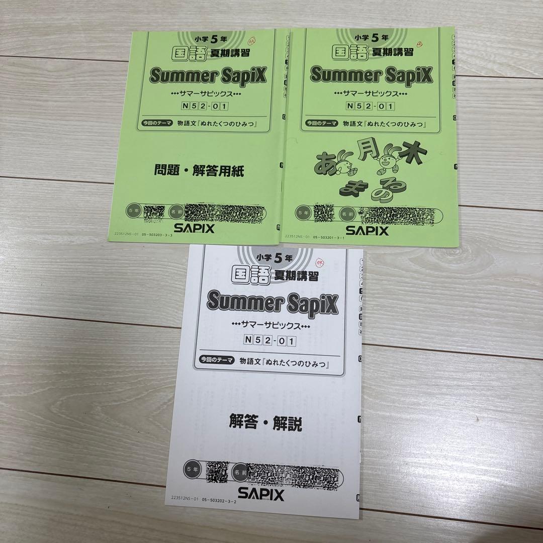Sapix 五年　国語　フルセット