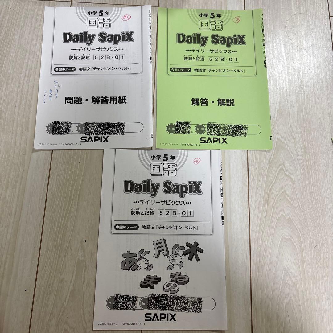 Sapix 五年　国語　フルセット