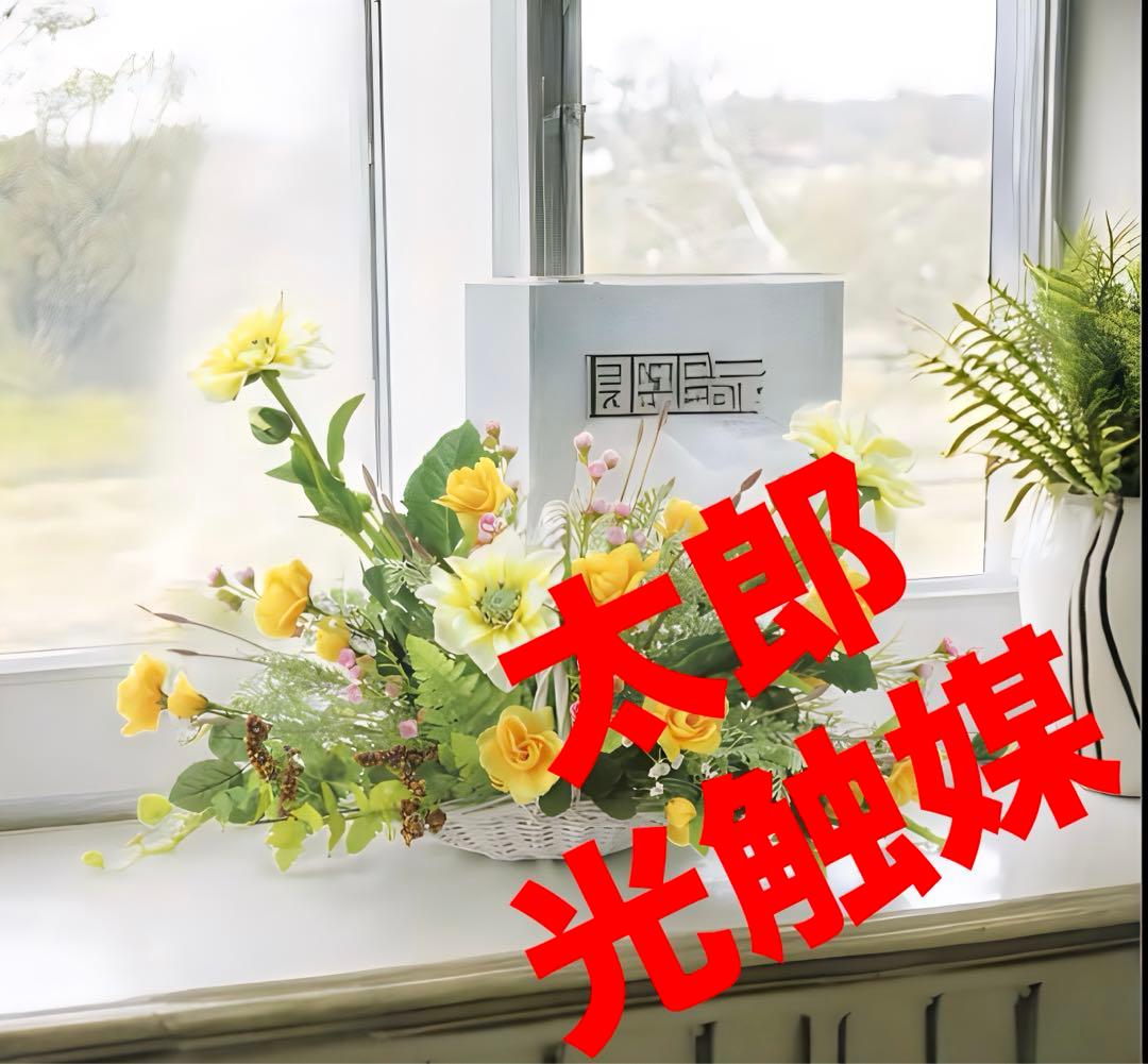 光触媒　人工観葉植物　ウォールグリーン　フェイクグリーン　ソリドール