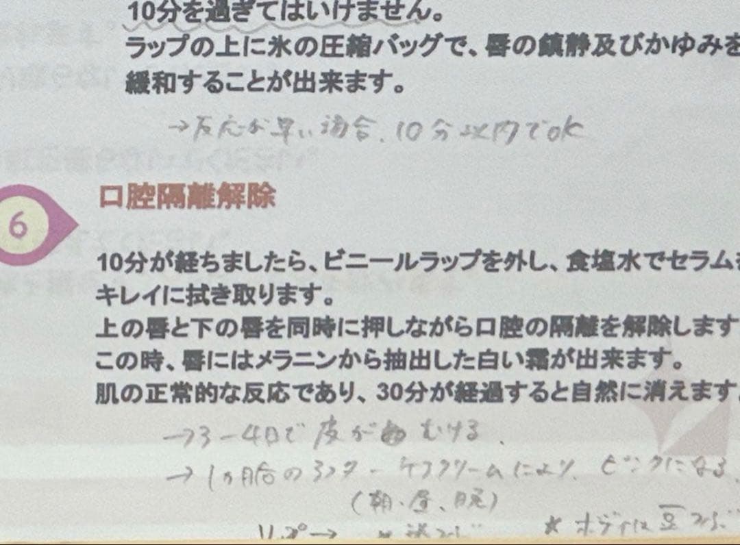 Roma Pink ローマピンク LEDセット ボディセラム＆リップセラム