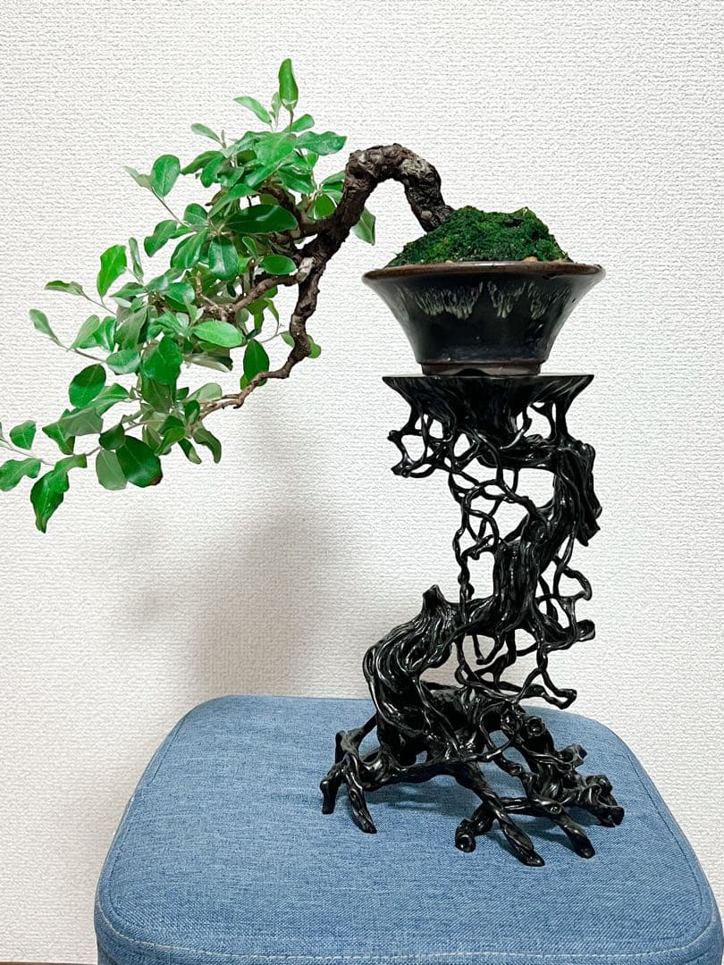 黒色樹脂製置物 鉢台 BONSAI-POT-STAND