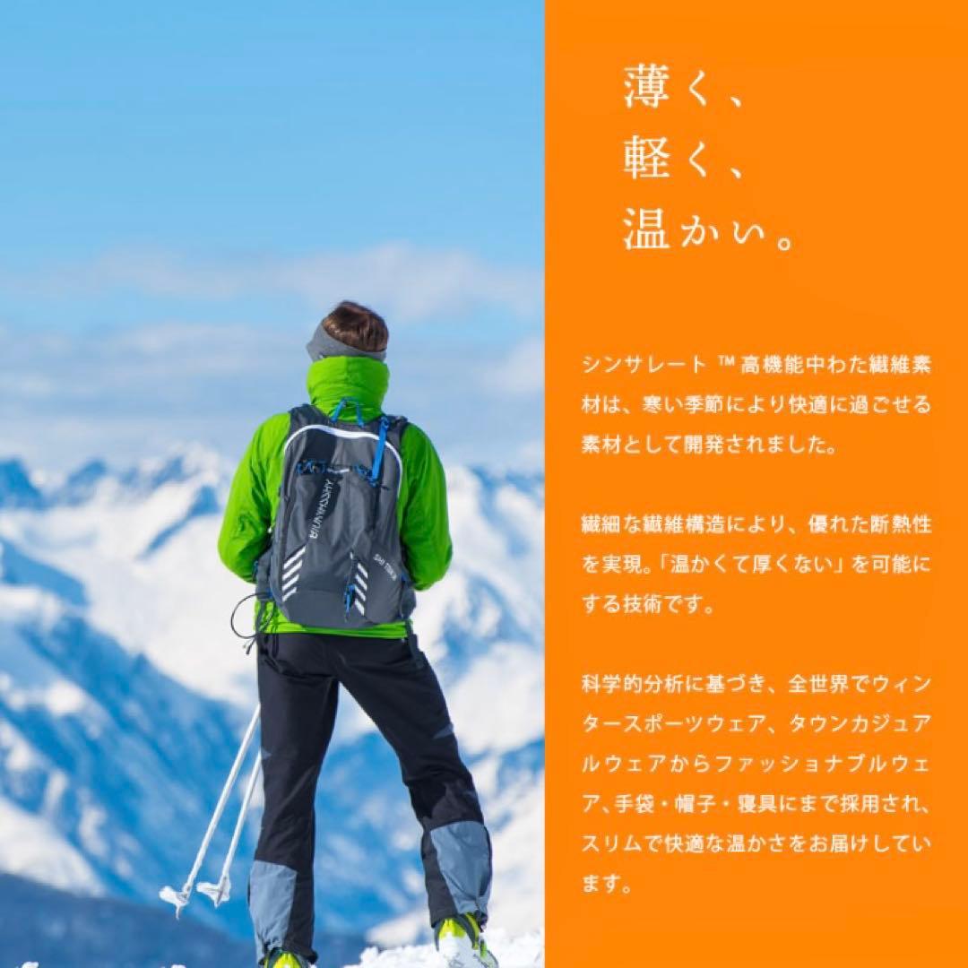 【実物あり】美品 日本製 洗える 掛け布団 セミダブル 防ダニ 抗菌 防臭 羽毛