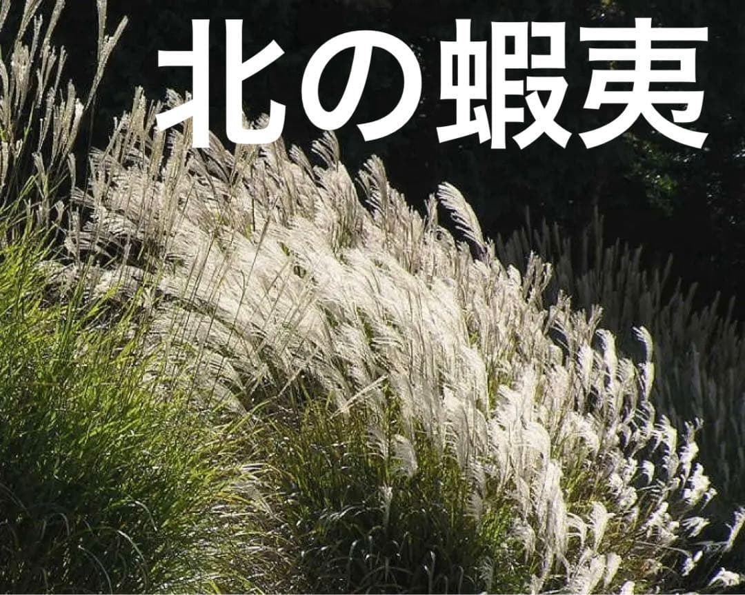 グラス　ススキ根付き鉢植え