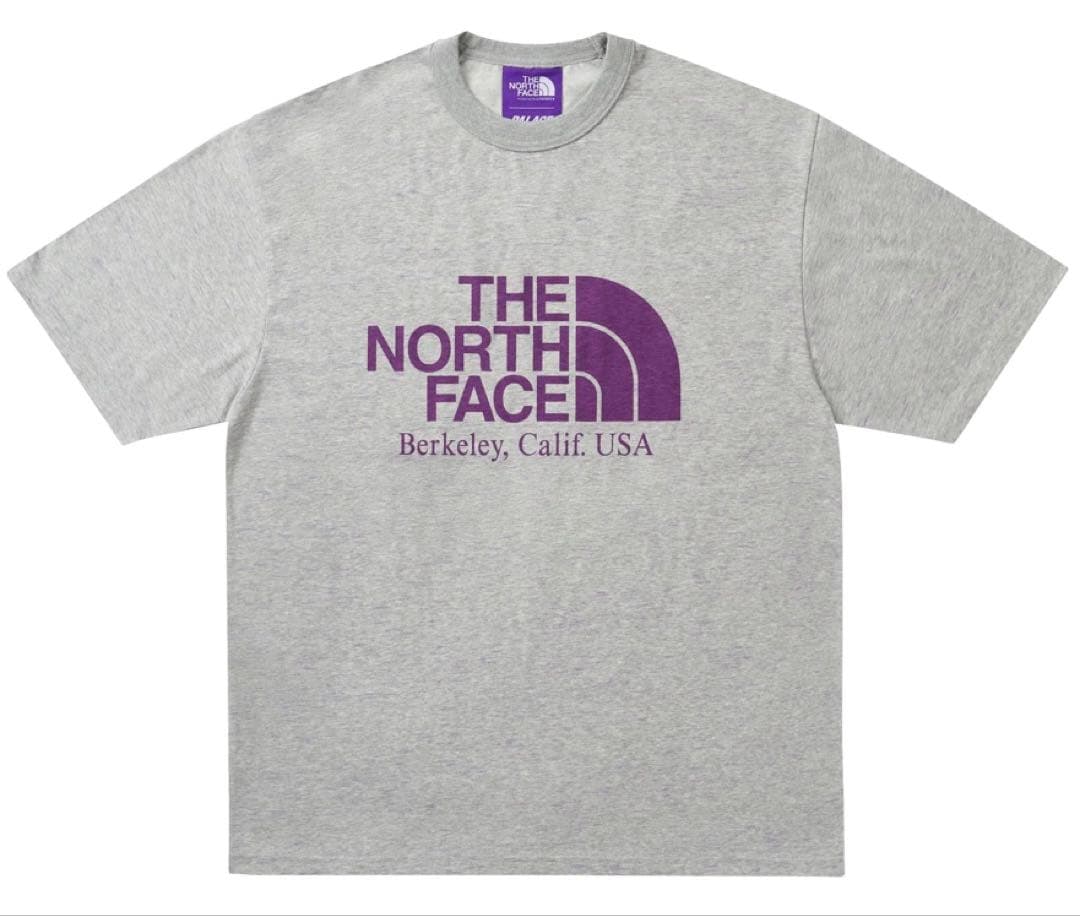 PALACE THE NORTH FACE グレー Tシャツ
