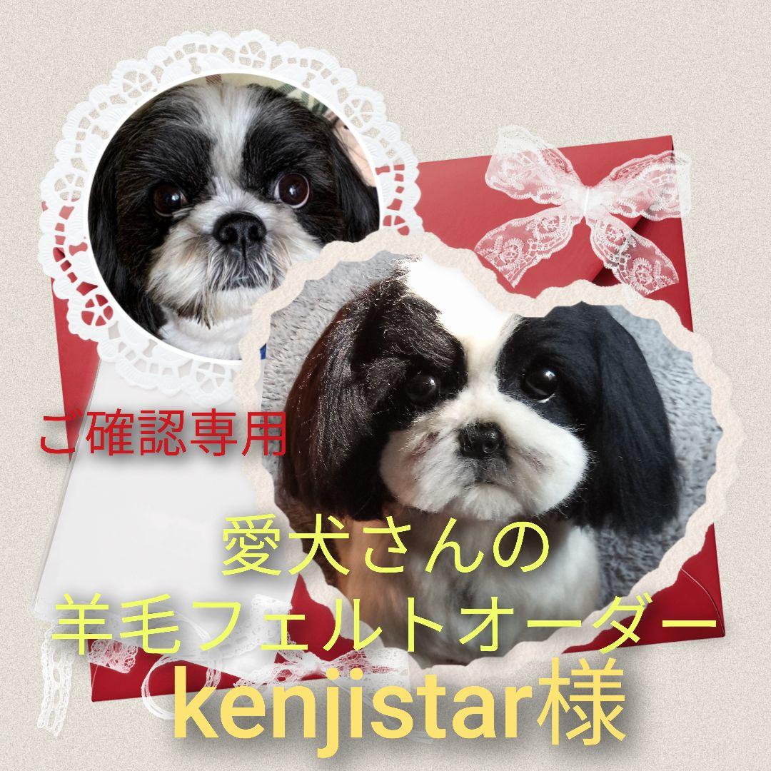 愛犬さんの羊毛フェルトオーダー・kenjistar様ご確認専用