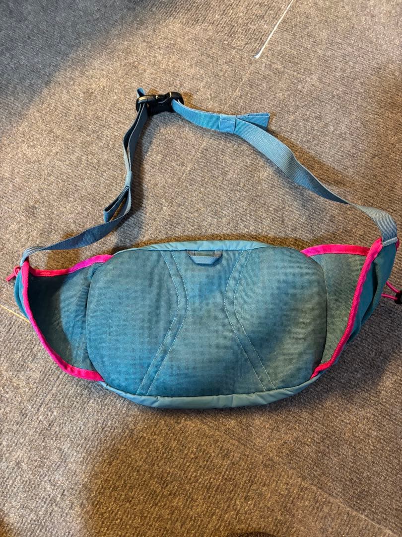 Patagonia テラヴィア・ヒップ・パック 4L