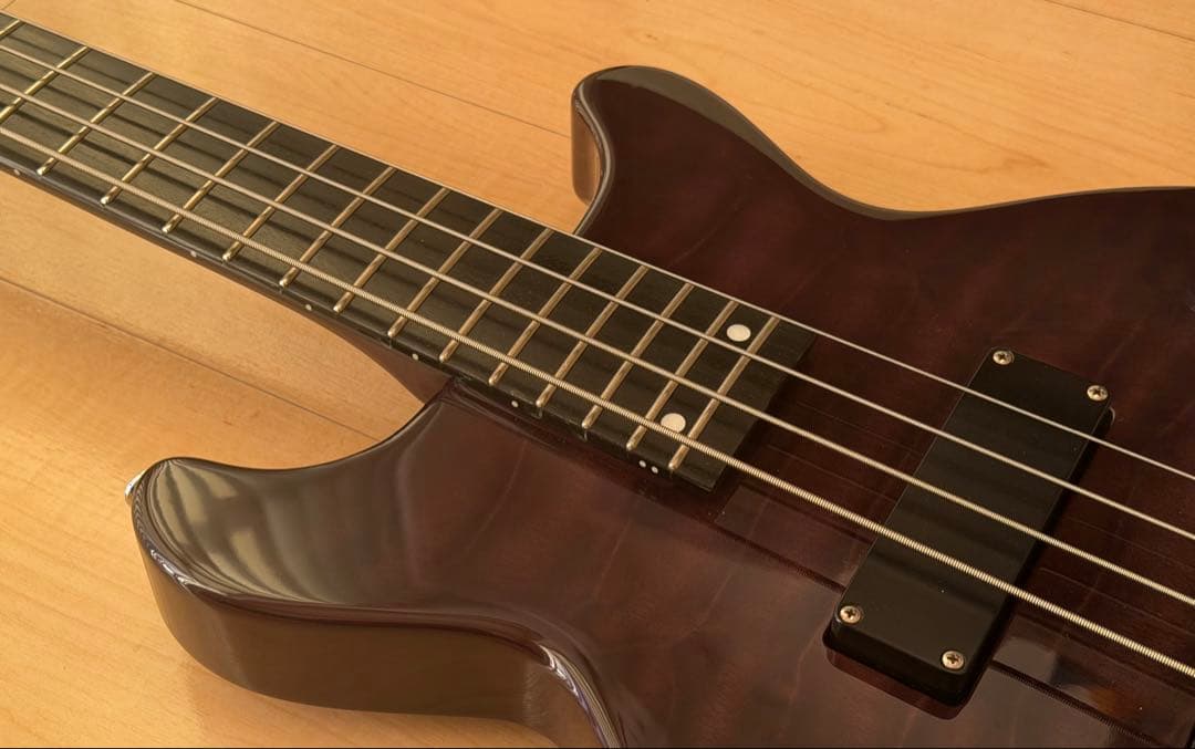 EDWARDS E-J-140 Fire Black／LUNA SEA／Jモデル