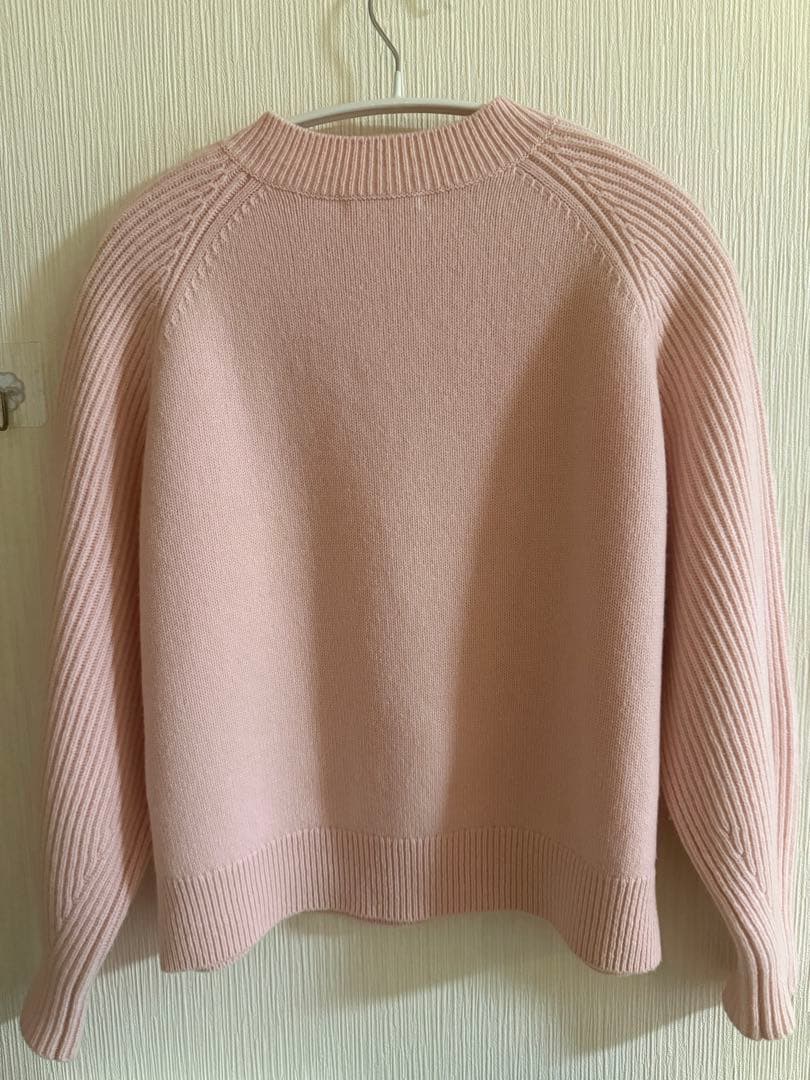 【新品】今期新作 セオリーリュクス Morbi Hunter Sweater