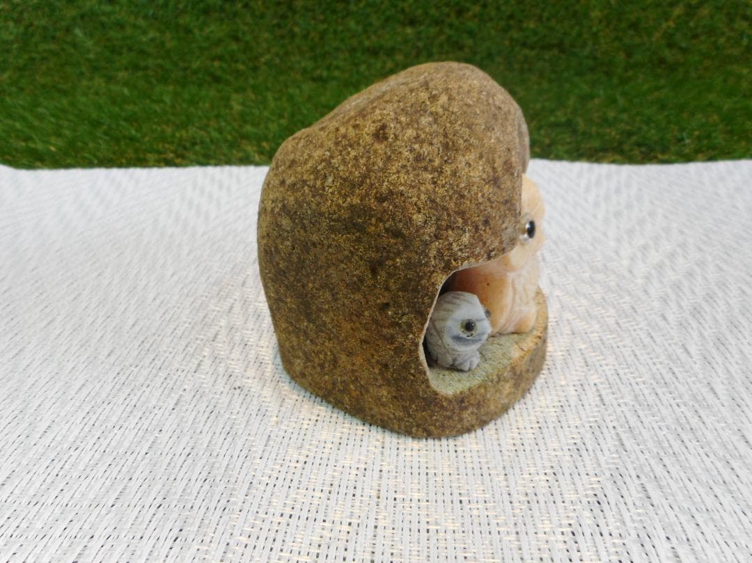 岩穴にフクロウ３羽