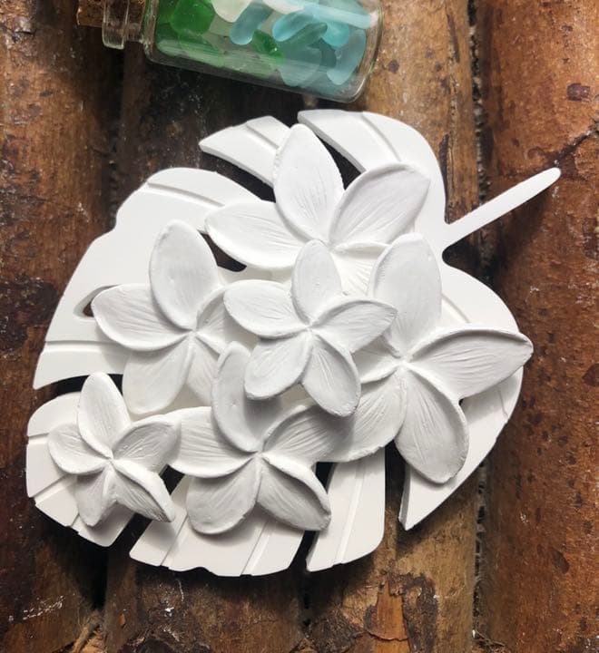 BIGモンステラ　アロマストーン  1つのお値段です