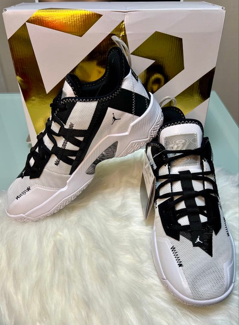 JORDAN ONE TAKEII ジョーダン・ワンテイクII 27㎝