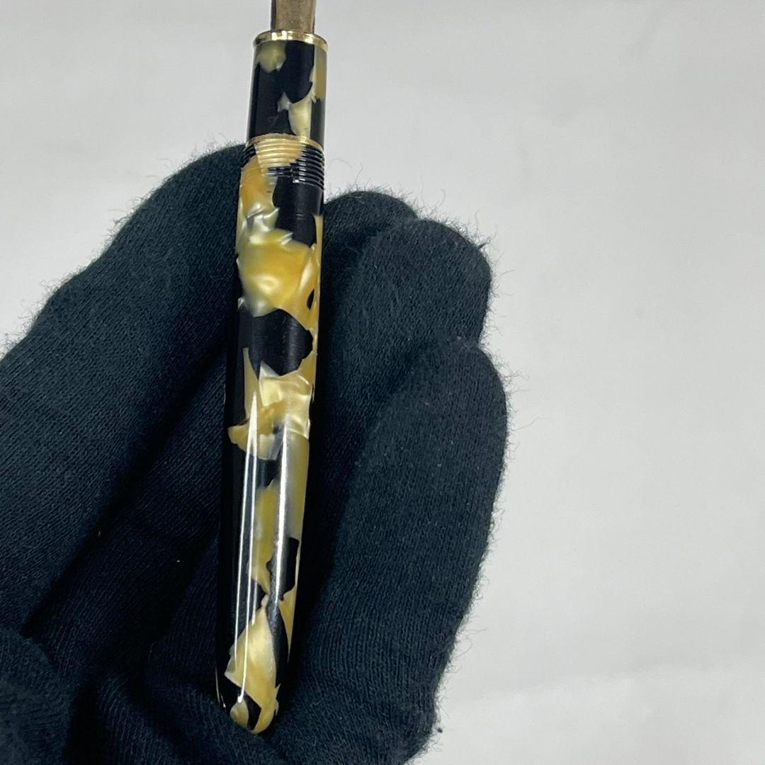 プラチナ 18k 万年筆 3776 セルロイド 石垣柄 中字