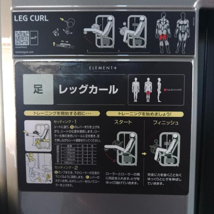 TECHNOGYM レッグエクステンション・カール2台セット（引取り限定）