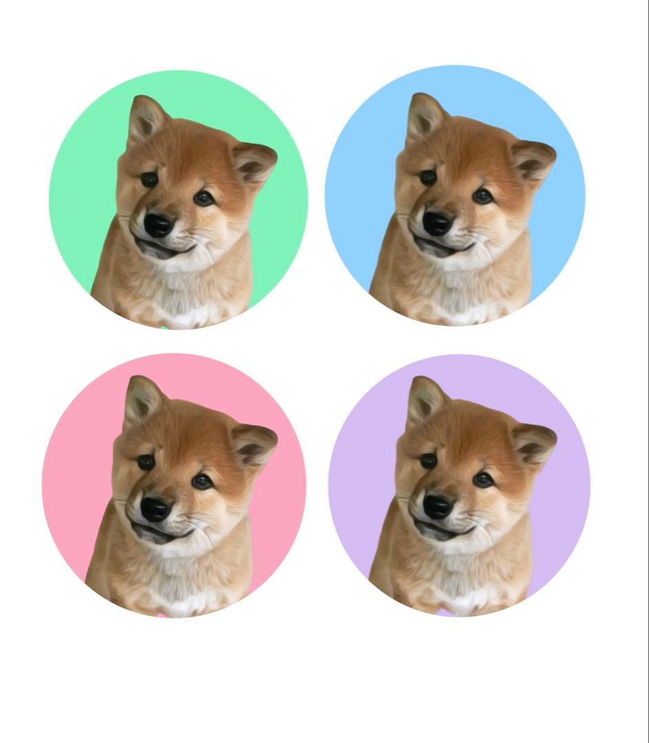 オーダーページ 柴犬 缶バッジ ハンドメイド