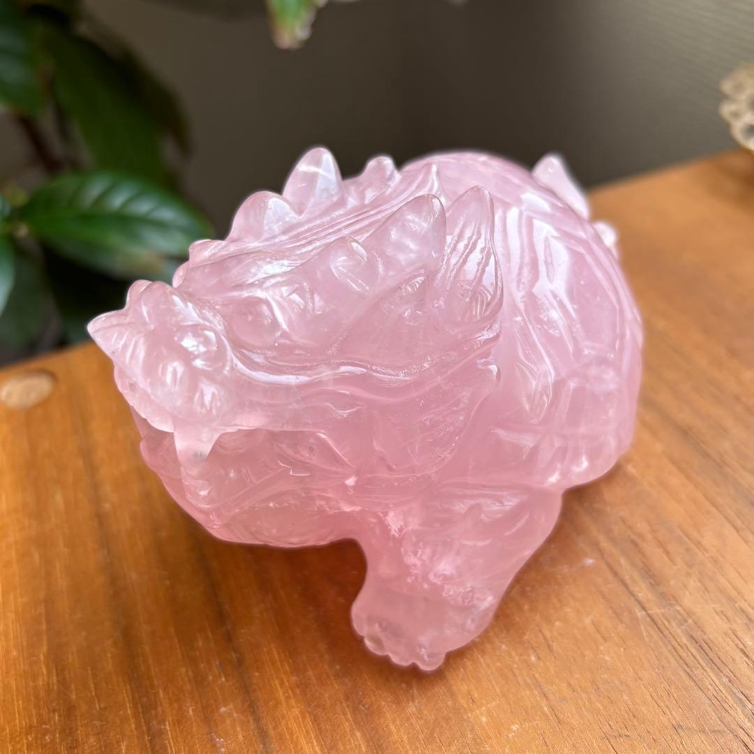 高品質 マダガスカル産 龍亀（ロングイ）置物490g