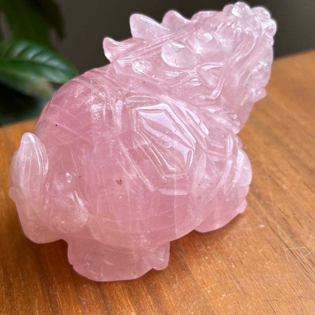 高品質 マダガスカル産 龍亀（ロングイ）置物490g